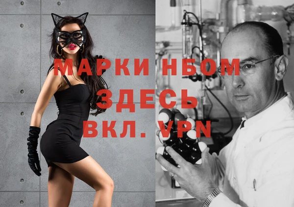 хмурый Надым