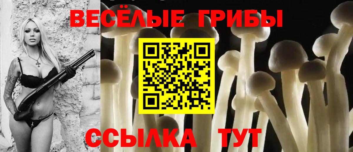 Псилоцибиновые грибы Magic Shrooms Туапсе